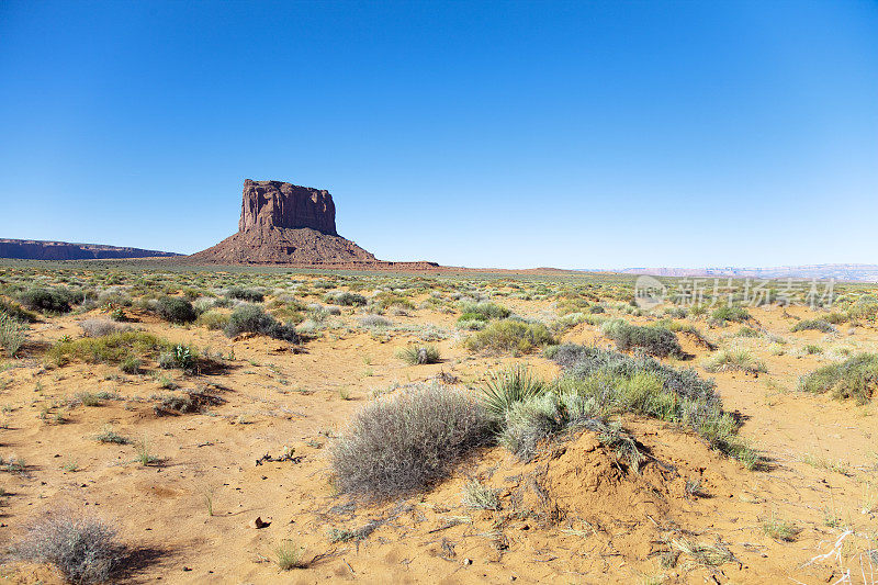 在纪念碑谷，West和East Mitten butes全景